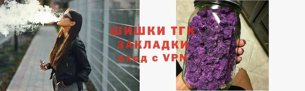 индика Вязники