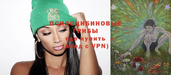 индика Вязники