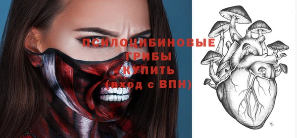 герыч Сосновый Бор