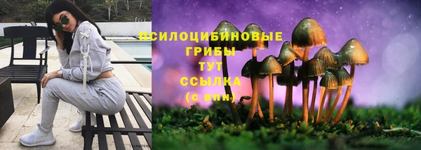 индика Вязники