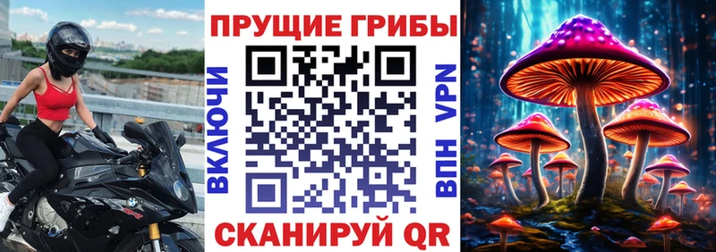 Псилоцибиновые грибы Magic Shrooms  Владимир 